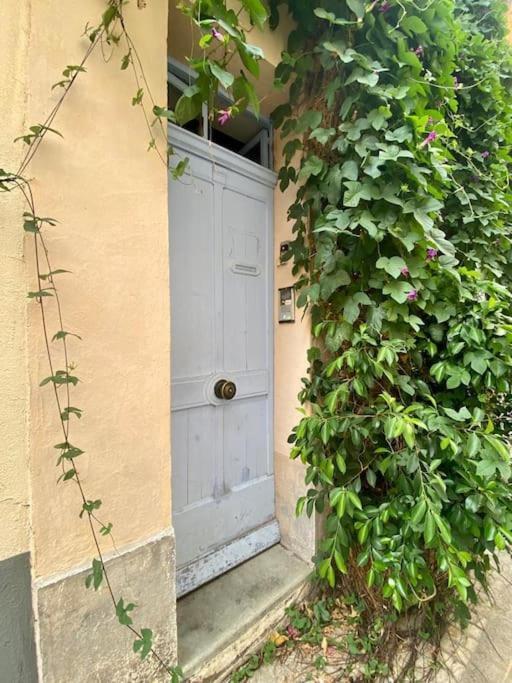 Click! Casa Lamartine Fabulous Ideal Location Walk To All!!! カシ エクステリア 写真